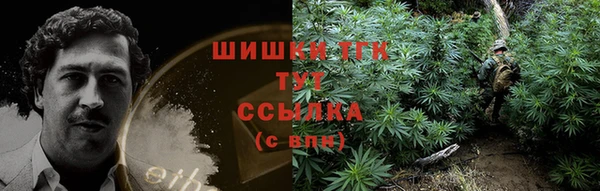 ECSTASY Гусь-Хрустальный