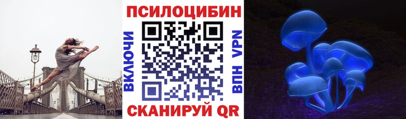 магазин  наркотиков  Назрань  Галлюциногенные грибы Psilocybine cubensis 